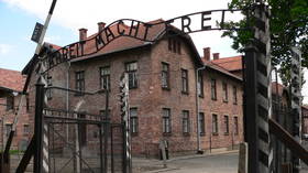 Historical inaccuracy and ‘human chess’ – Auschwitz Memorial slams Amazon’s Nazi-hunting series