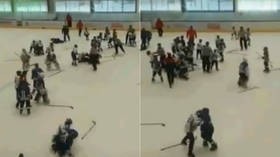 Taking the kid gloves off: Mass brawl between 11yo players breaks out at Russian ice hockey tournament (VIDEO)
