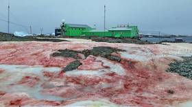 BLOOD-RED SNOW cloaks polar station in the Antarctic (PHOTOS)