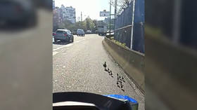Winging it: WATCH who attracted police attention on a Paris highway