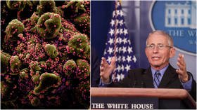 ‘Covid-19 could be seasonal’: Fauci warns coronavirus is likely to return in ‘CYCLES’, stresses need for vaccine