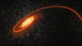 Scientists discover ‘missing link’ in black hole evolution after detecting stellar HOMICIDE