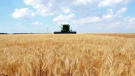 Russia limits grain exports to avoid domestic price spikes amid global coronavirus crisis