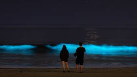 WATCH: Surfer rides ethereal GLOWING WAVES thanks to bioluminescent algae