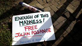 UN rapporteur on torture ‘scared to find out more about our democracies’ after delving into Assange case