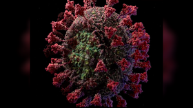 WATCH: Incredibly detailed 3D model reveals coronavirus down to ATOMIC level