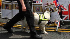 Corona-hounds: UK launches trials for ‘Covid-19 SNIFFER DOGS’