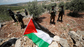 ‘Israeli talk of annexing Palestinian lands must stop,’ UAE says
