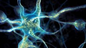 The keys to disease? Scientists reengineer one protein to fight cancer or to regenerate neurons