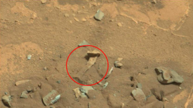 Human bone, alien thigh or just a rock? Here’s NASA’s say on the frenzy over the Mars ‘femur’ photo