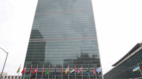 UN General Assembly to elect new Security Council members, observing social distancing