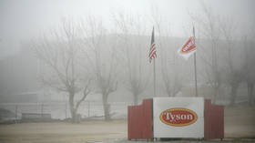 China halts US poultry imports after coronavirus hits Tyson Foods plant