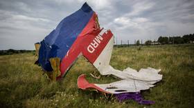 Netherlands to take Russia to European Court of Human Rights over ‘role’ in MH17 crash