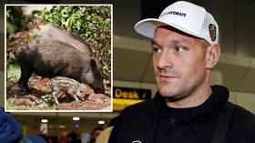 Pig farmer DROPS allegations he was bribed $31,500 to LIE over Tyson Fury's failed 2015 drug test