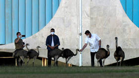 Brazil’s Bolsonaro bitten by emu while recovering from coronavirus (PHOTOS)