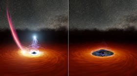 ‘No one had seen anything like this’: Rogue star suspected as scientists see black hole’s corona disappear & rebuild in real-time