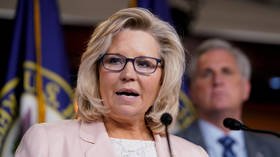 Liz Cheney the latest target of Trump loyalists… which is enough to label her ‘voice of reason’ on the left