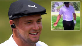 'Is he TROLLING us?' Golf fans mock 'iconic moment' as burly PGA star DeChambeau claims FIRE ANTS made his shot unplayable (VIDEO)