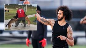 US Navy vows to investigate after military dogs MAUL Colin Kaepernick stand-in at demonstration event (VIDEO)