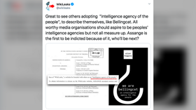 Bellingcat founder in Twitter meltdown after getting accused of ‘STEALING’ Assange’s quote describing WikiLeaks for own book