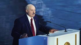 Lukashenko says Belarus has arrested US citizens as he asks Kiev & Moscow to deal with detained Russian 'mercenaries'