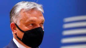 Orban says ALL illegal immigrants pose potential health risk to Hungary amid Covid-19 pandemic
