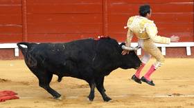 'Mess with the bull, you get the horns': Bullfighter Enrique Ponce gored in the BUTTOCKS before killing bull