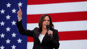 Kamala Harris is not a ‘left radical’ or a ‘Marxist’. I wish she were