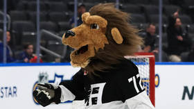 LA Kings Mascot Bailey Accused Of Groping Staffer