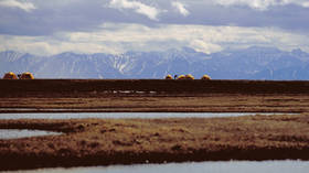 Trump speeds up plans for oil development in Alaska wildlife reserve, but drillers may show little interest amid industry slump