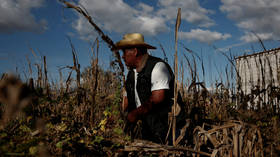 ‘Famine of biblical proportions’ looms over humanity due to Covid-19, UN food chief warns