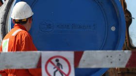 ‘Pipelines aren’t built just to annoy somebody’: Former Austrian FM Karin Kneissl believes Nord Stream 2 will be completed