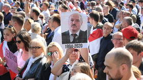 ‘We have a somewhat authoritarian system’: Belarus’ Lukashenko proposes creating new constitution less reliant on president