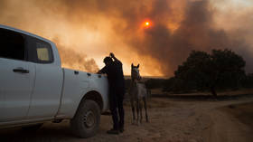 Wildfires rage in southern Spain, triggering mass evacuations (VIDEOS, PHOTOS)