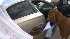 GOAT on rampage raids cop car, destroys paperwork & takes down officer (VIDEO)