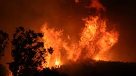 Fed set FIERCEST WILDFIRE that’s burning out of control through the entire US economy – Peter Schiff