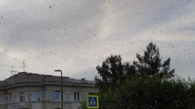 2020 not giving up on its destructive pattern: SWARMS of winged insects INVADE Siberian city, leaving Russians stunned (VIDEOS)