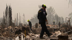 Man arrested for igniting brushfire in Portland, starts SIX MORE fires in less than 12 hours after release – police