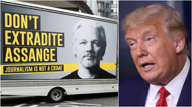 Trump offered Julian Assange a PARDON deal in return for 2016 DNC emails source disclosure, lawyer says