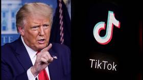 TikTok sues Trump to overturn ban that could ‘destroy online community’ – report