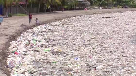 100+ tons of garbage washed up on idyllic Caribbean beach in Honduras after anti-waste barrier failure in Guatemala (VIDEOS)