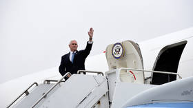 Air Force Two carrying VP Pence forced to land at New Hampshire airport after BIRD COLLISION – report