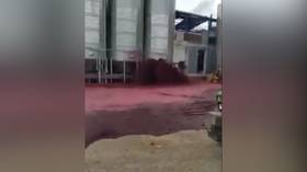 Quite a spill: Unfortunate tank leak unleashes torrent of 50,000 LITERS of red wine in Spain (VIDEO)