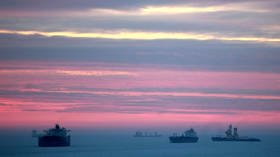 Russian Arctic Sea route shipping to top 32 million tons this year – Rosatom