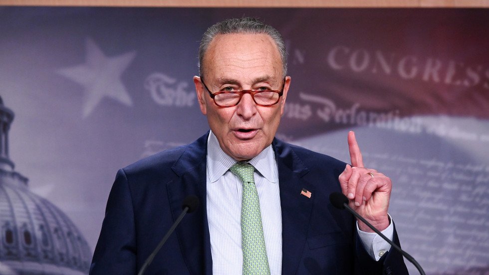 Senate Democrats' Leader Schumer Slams Idea Of Virtual Hearing For ...