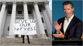 Gov. Newsom approves task force on ‘slavery reparations’ as taxpayers wonder how ‘broke’ California will foot the bill