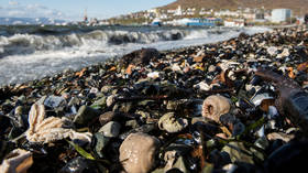 Fresh concerns as hordes of fish & marine life washes ashore in new location in Russia’s Far Eastern Kamchatka peninsula  (VIDEO)