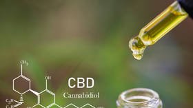 Cannabis to the rescue? New research suggests CBD oil may protect against Covid-19 lung damage