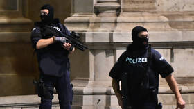 Vienna attack carried out by ‘at least 1 Islamist terrorist’ & ‘Islamic State sympathizer’ – Austrian interior minister
