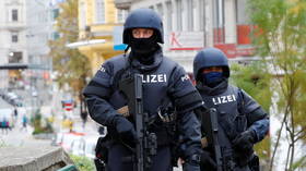 All 15 detained over Vienna terrorist attack part of radical Islamist network – Austrian public security director